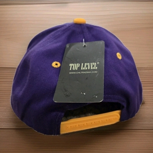Top Level Kids Snapback Hat Purple Gold Bear Graphic Limited Edition Cap - Picture 4 of 10